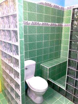 Full main washroom (with shower) Full main washroom (with shower)