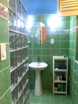 Full main washroom (with shower) Full main washroom (with shower)