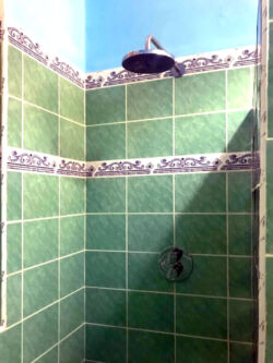 Full main washroom (with shower) Full main washroom (with shower)